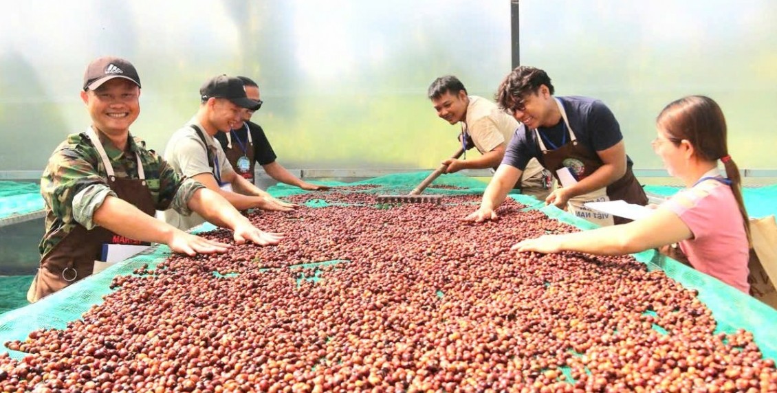 Khai giảng khóa học “Chế biến cà phê nhân chất lượng cao” niên vụ 2025-2026