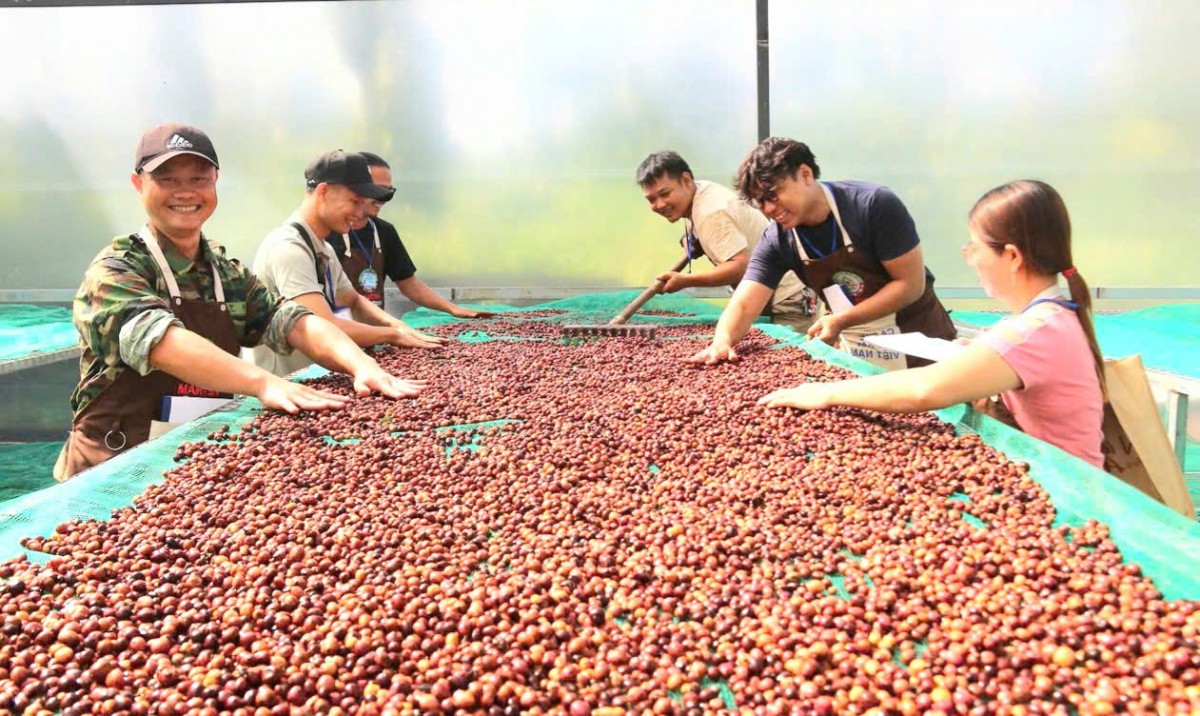 Khai giảng khóa học “Chế biến cà phê nhân chất lượng cao” niên vụ 2025-2026