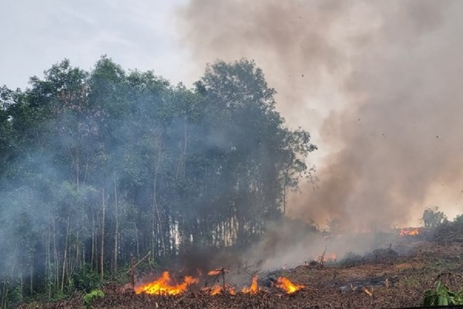 Người dân đốt thực bì sau thu hoạch keo khiến đồi núi trơ trụi, gia tăng nguy cơ sạt lở và lũ quét