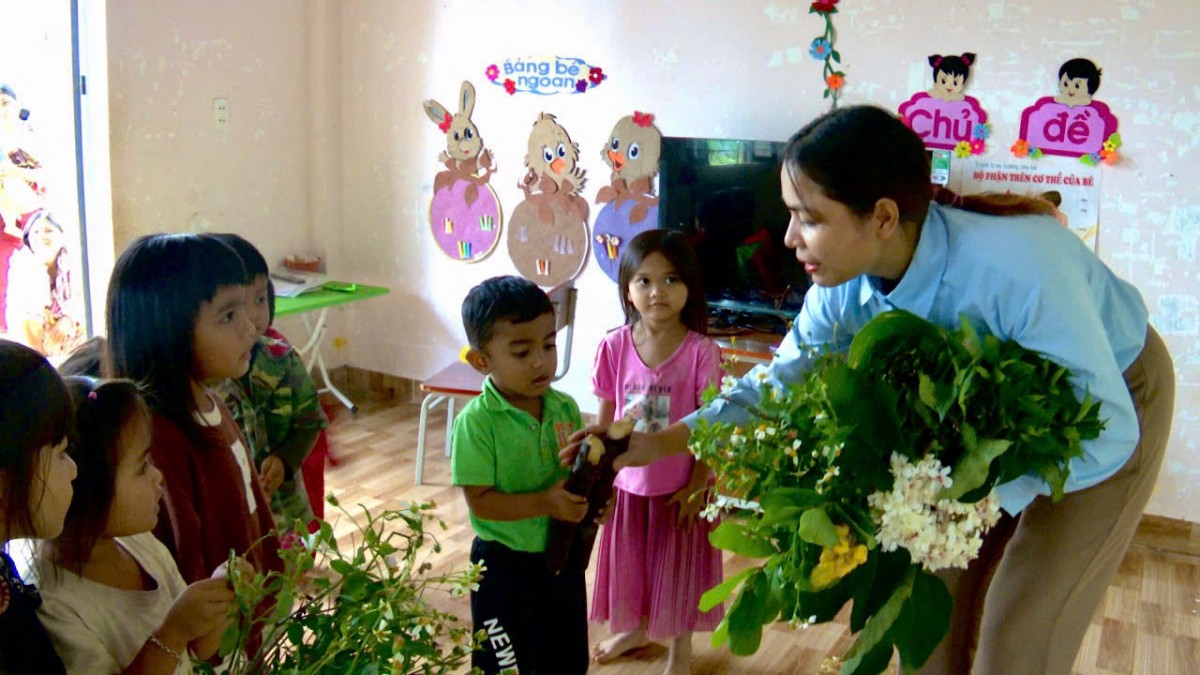 Hoa rừng dâng cô nhân kỷ niệm ngày nhà giáo Việt Nam 20/11.