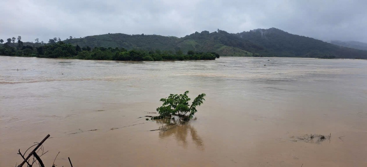 Lâm Đồng: Khoảng hơn 200ha đất sản xuất nông nghiệp dọc sông Krông Nô và dọc suối Đắk Prí bị ngập