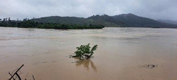 Lâm Đồng: Nhiều công trình hạ tầng, cây cối, hoa màu tại xã Quảng Phú bị thiệt hại nghiêm trọng do thiên tai