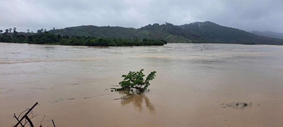 Lâm Đồng: Khoảng hơn 200ha đất sản xuất nông nghiệp dọc sông Krông Nô và dọc suối Đắk Prí bị ngập