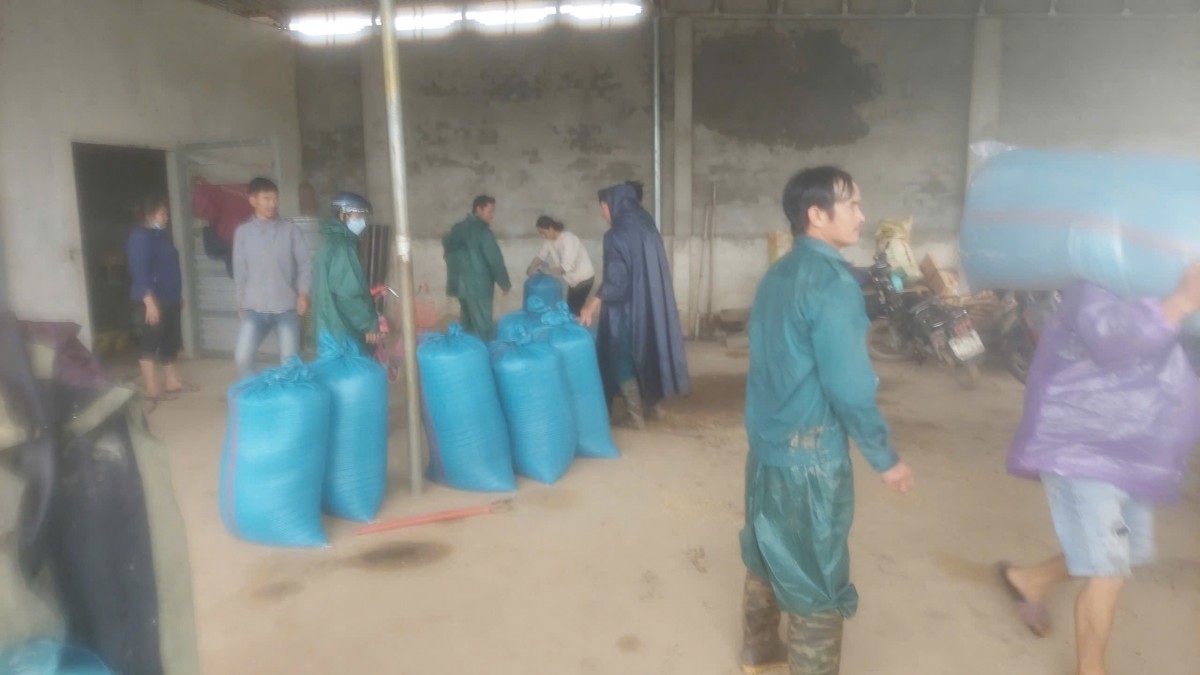 Lâm Đồng: Khoảng hơn 200ha đất sản xuất nông nghiệp dọc sông Krông Nô và dọc suối Đắk Prí bị ngập