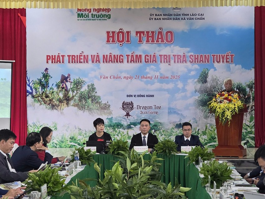 Phát triển bền vững để nâng tầm giá trị trà Shan tuyết