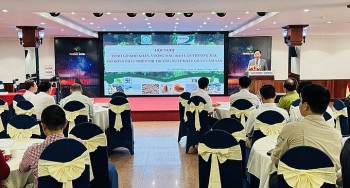 Xuất khẩu gỗ cán mốc 16,5 tỷ USD: Nỗ lực vượt “gọng kìm” rào cản thương mại