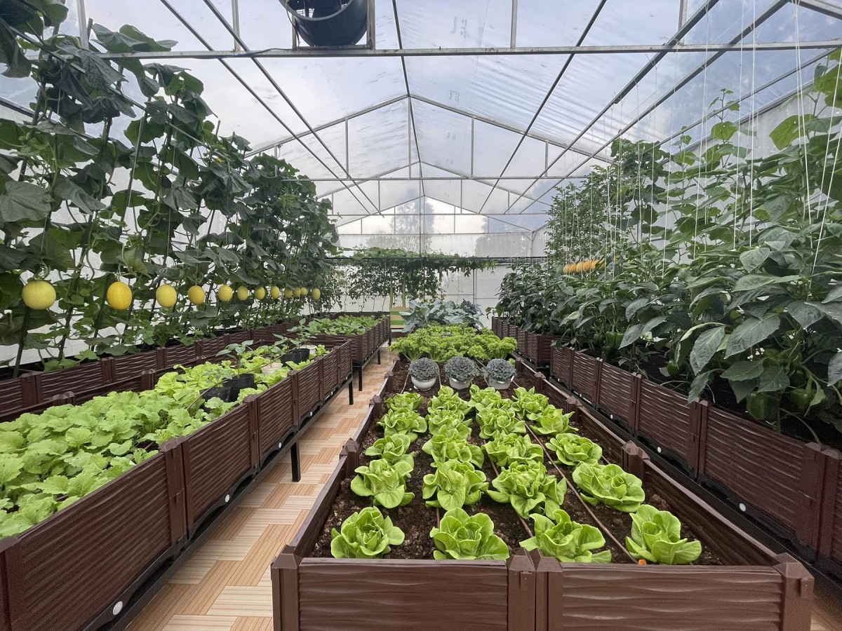 Thu hút dòng vốn FDI chất lượng cao cho nông nghiệp xanh, bền vững