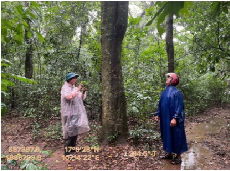 Tăng cường công tác quản lý, bảo vệ rừng đặc dụng Rú Lịnh