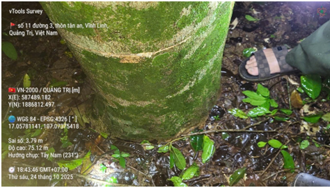 Tăng cường công tác quản lý, bảo vệ rừng đặc dụng Rú Lịnh