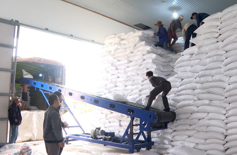 Gia Lai: Phân bổ 2.000 tấn gạo hỗ trợ người dân vùng bị thiên tai, lũ lụt