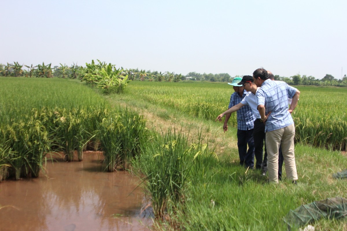 Organic Farming - đảm bảo hài hòa lợi ích kinh tế và trách nhiệm xã hội