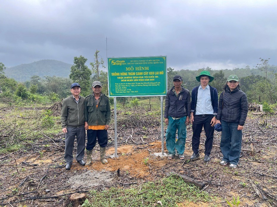 Triển khai mô hình trồng rừng thâm canh cây Keo lai cho các hộ nghèo và cận nghèo ở Quảng Trị