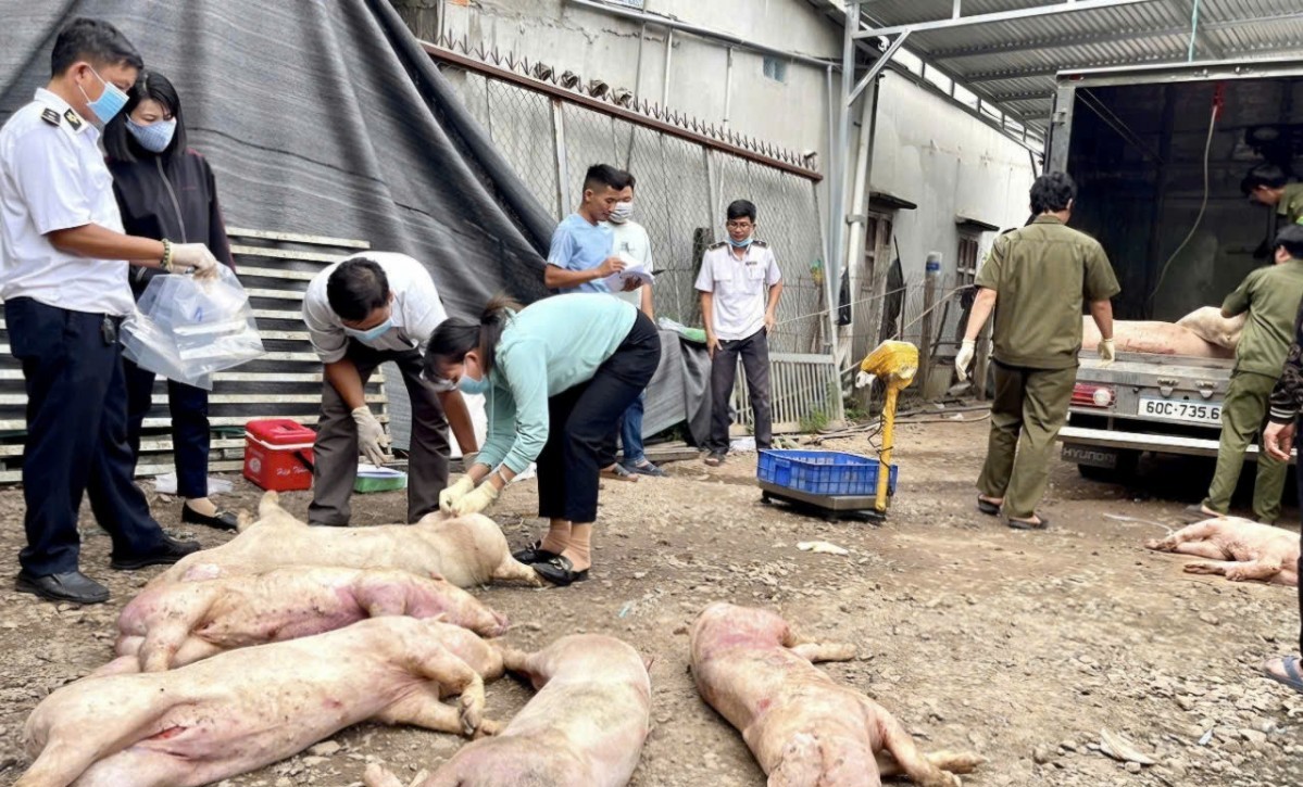 Đồng Nai quyết liệt chấn chỉnh tình trạng giết mổ “chui”