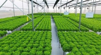 Đồng Nai chấn chỉnh việc thực hiện đề án nông nghiệp công nghệ cao