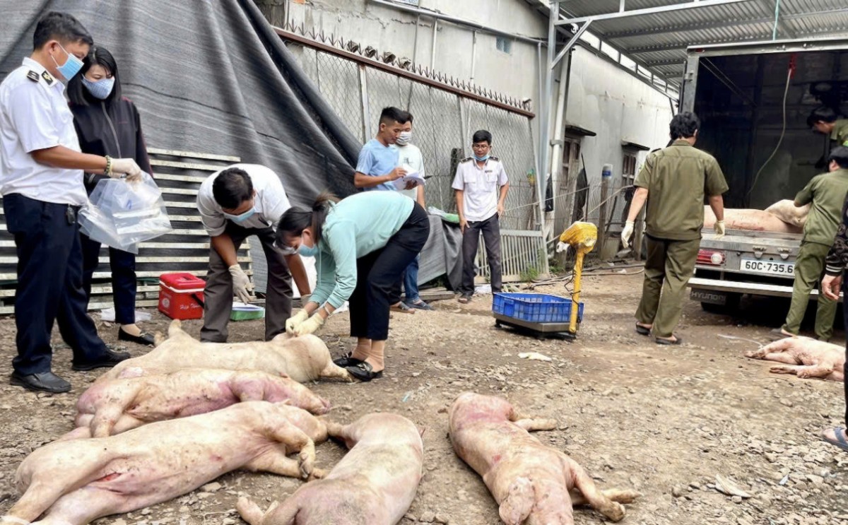 Đồng Nai quyết liệt chấn chỉnh tình trạng giết mổ “chui”