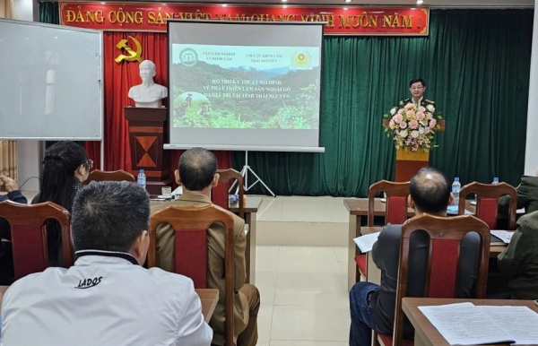 Thái Nguyên: Đẩy mạnh phát triển mô hình lâm sản ngoài gỗ đa giá trị