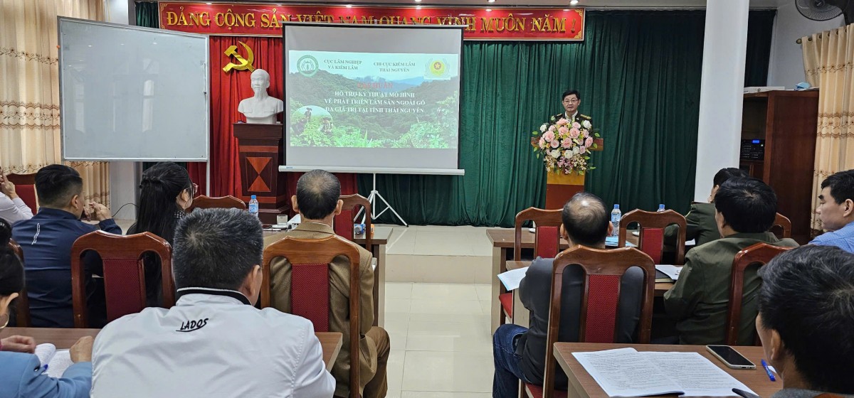 Thái Nguyên: Đẩy mạnh phát triển mô hình lâm sản ngoài gỗ đa giá trị