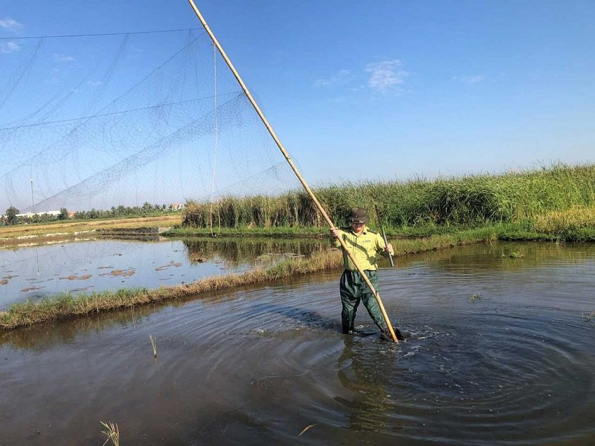 Tổ Kiểm lâm Quảng Yên tháo dỡ các lưới bắt chim.