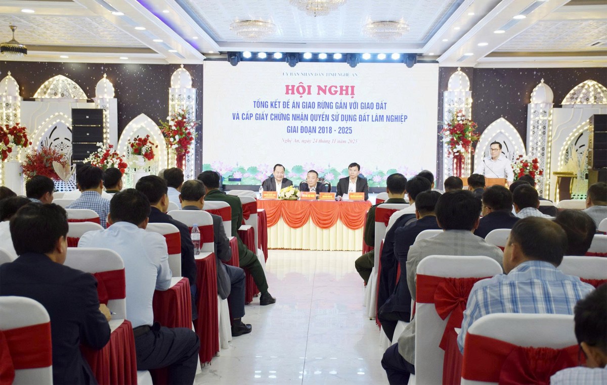 Nghệ An giao hơn 202.000ha đất rừng cho hàng chục nghìn hộ dân quản lý