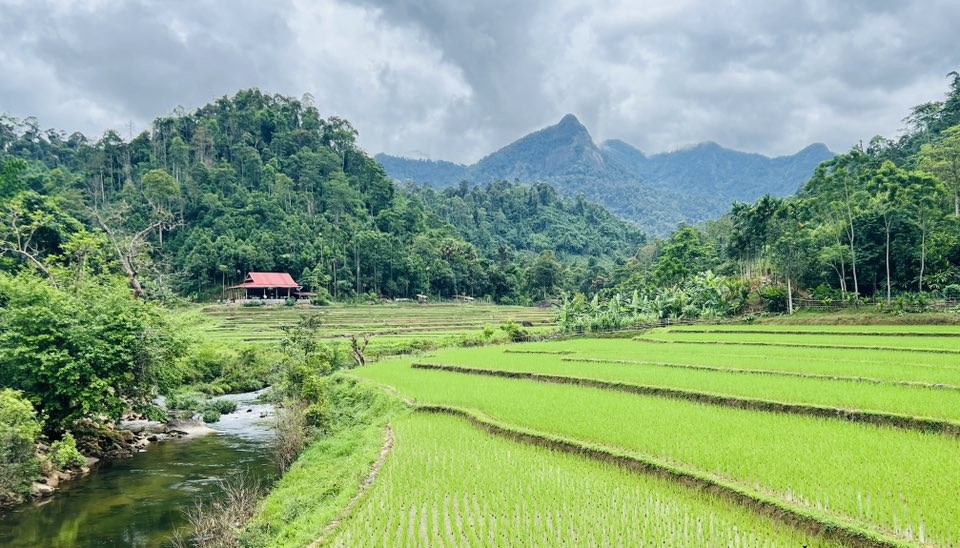 Nghệ An giao hơn 202.000ha đất rừng cho hàng chục nghìn hộ dân quản lý