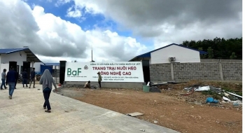 Lâm Đồng kiểm tra việc chấp hành pháp luật về bảo vệ môi trường đối với các trang trại chăn nuôi heo quy mô lớn