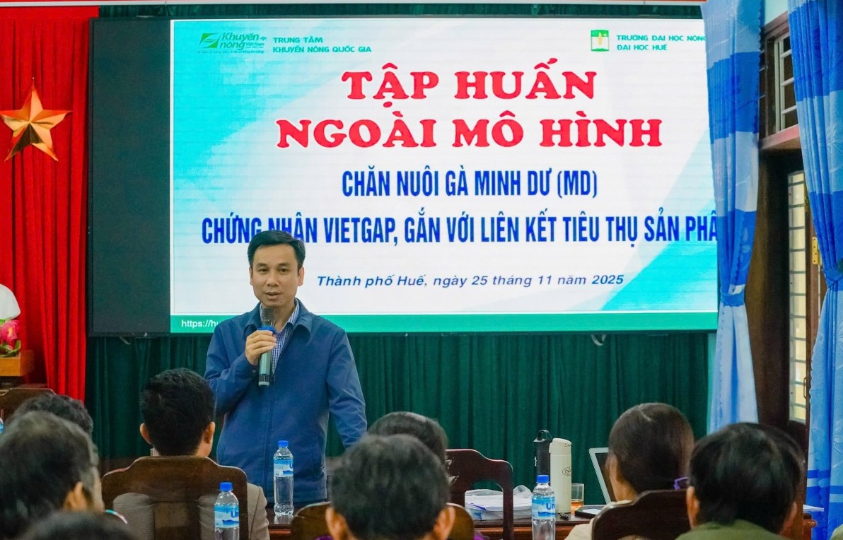 Huế: Tập huấn kỹ thuật chăn nuôi gà VietGAHP gắn với liên kết tiêu thụ sản phẩm