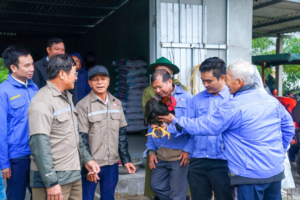 Tham quan mô hình chăn nuôi gà thuộc dự án với quy mô khoảng 25.000 con gà thịt được nuôi theo quy trình VietGAHP