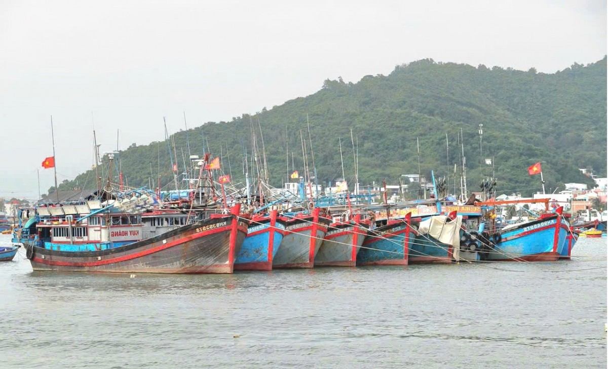Khánh Hòa: Triển khai lệnh cấm biển từ 7 giờ ngày 28/11 để ứng phó bão số 15