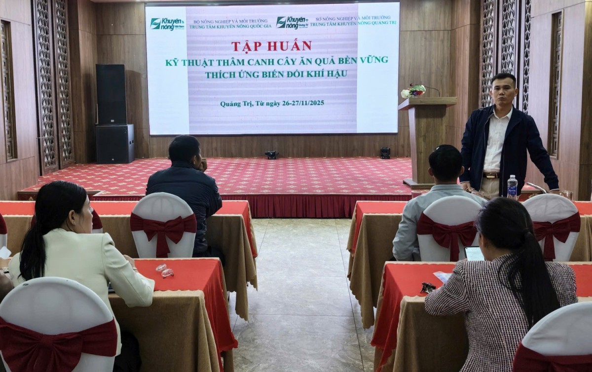 Quảng Trị: Tập huấn kỹ thuật thâm canh cây ăn quả gắn với kinh tế tuần hoàn
