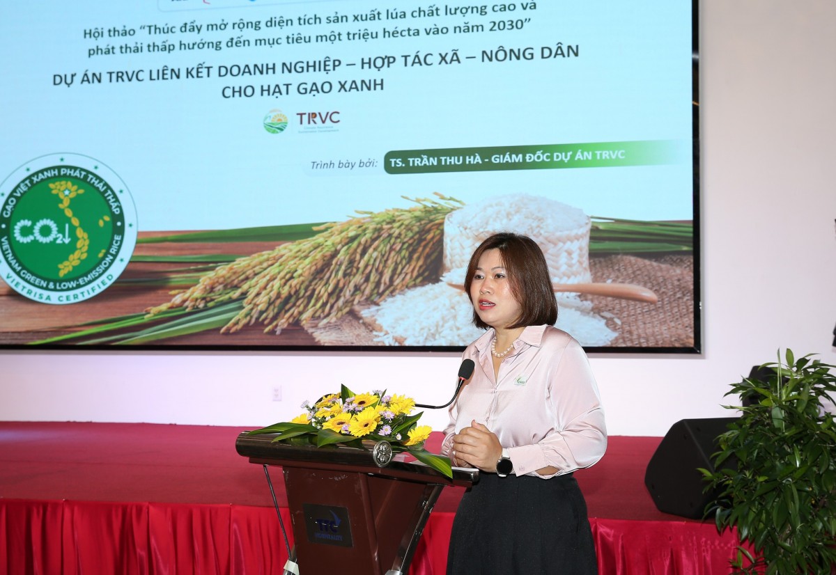 Phấn đấu mục tiêu đạt 1 triệu ha lúa 