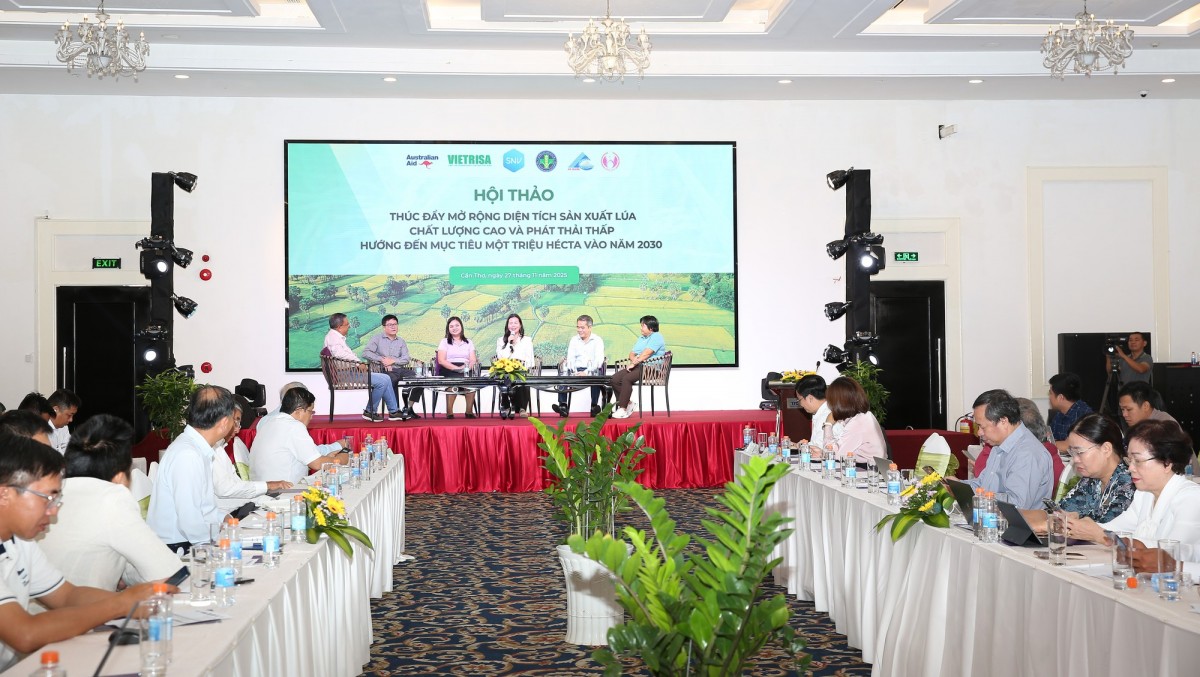 Phấn đấu mục tiêu đạt 1 triệu ha lúa 