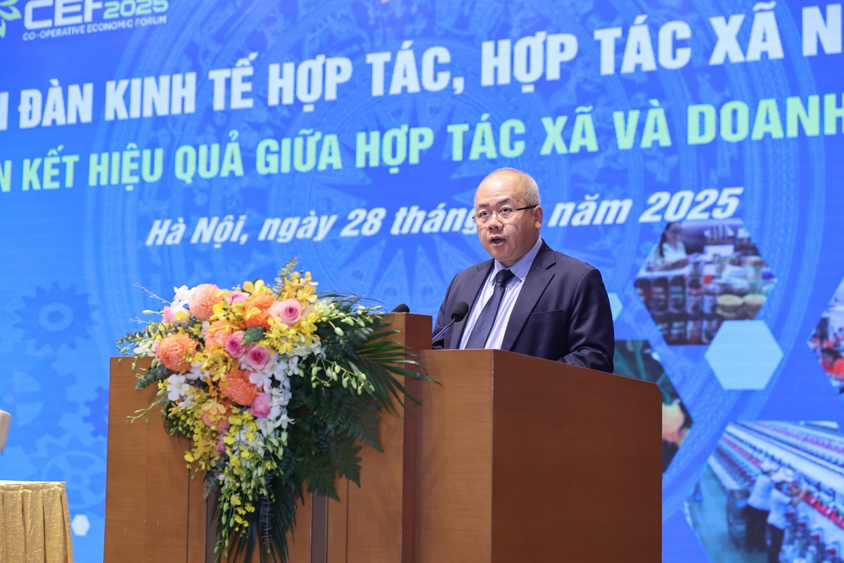 Phát huy hiệu quả liên kết giữa hợp tác xã và doanh nghiệp