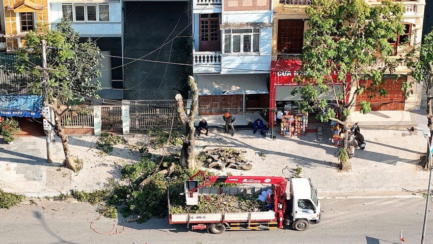 Người dân tiếc nuối khi nhiều cây xanh ở Lào Cai bị cắt trụi ngọn