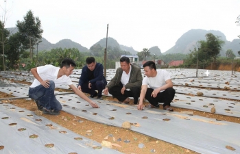 Thái Nguyên: Thúc đẩy phát triển nông lâm nghiệp gắn với đồng bào dân tộc thiểu số