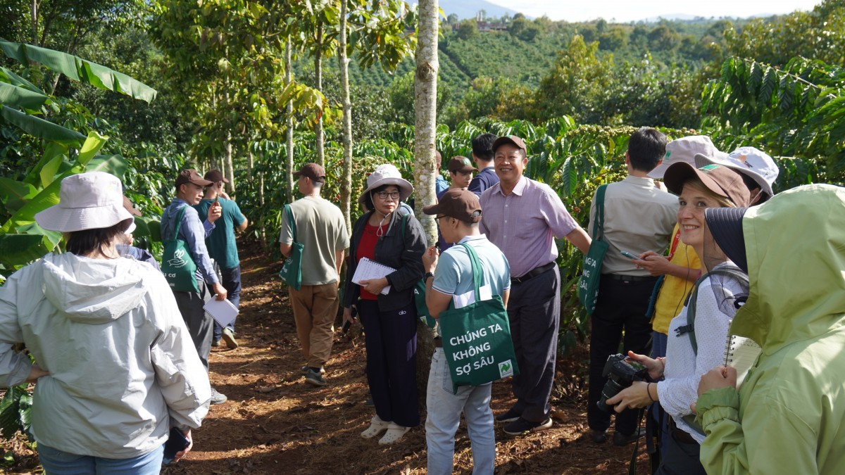 Canh tác cà phê trong nông lâm kết hợp: Sự trải nghiệp 