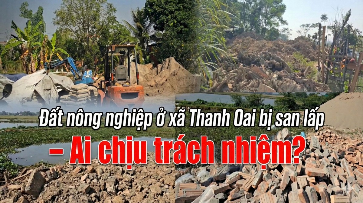 Hà Nội: Cần sự vào cuộc quyết liệt của chính quyền xã Thanh Oai trước nguy cơ “xóa sổ” đất nông nghiệp
