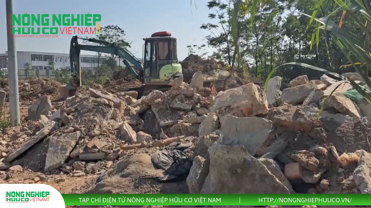 Hà Nội: Cần sự vào cuộc quyết liệt của chính quyền xã Thanh Oai trước nguy cơ “xóa sổ” đất nông nghiệp