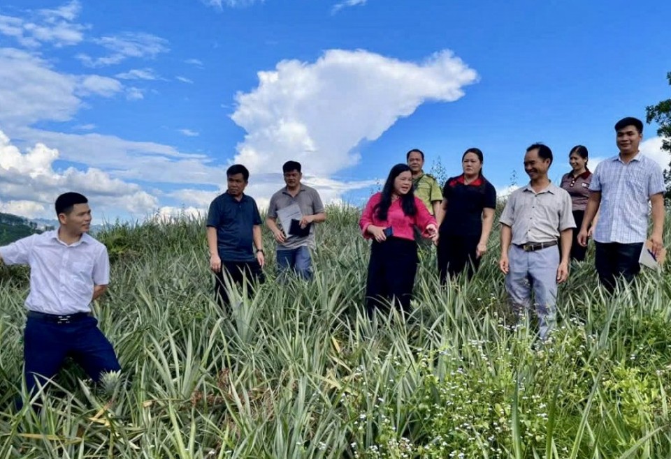 Bạch Đằng khơi dậy niềm tin và khát vọng từ Nghị quyết Đảng bộ xã