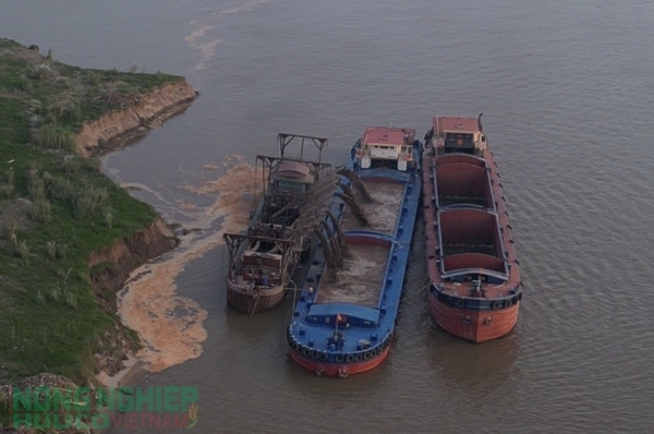 Nguyên nhân và hệ lụy đất bãi bồi sông Hồng trên địa bàn xã Mê Linh “biến mất” từng ngày