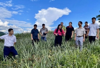 Bạch Đằng khơi dậy niềm tin và khát vọng từ Nghị quyết Đảng bộ xã