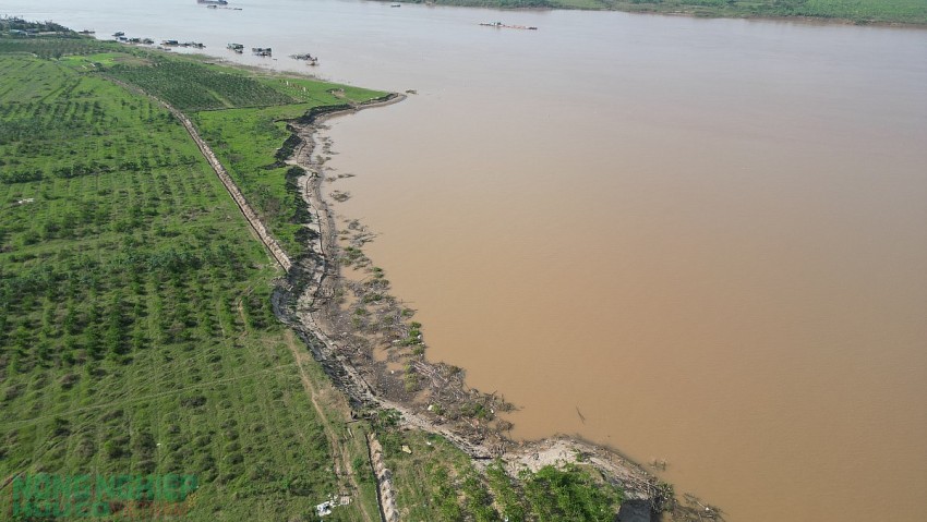 Nguyên nhân và hệ lụy đất bãi bồi sông Hồng trên địa bàn xã Mê Linh “biến mất” từng ngày