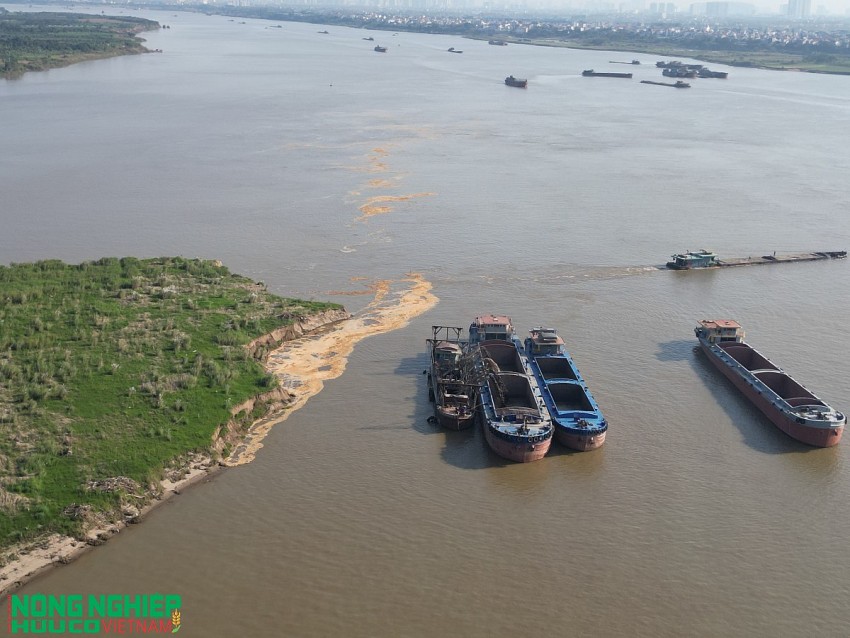 Nguyên nhân và hệ lụy đất bãi bồi sông Hồng trên địa bàn xã Mê Linh “biến mất” từng ngày