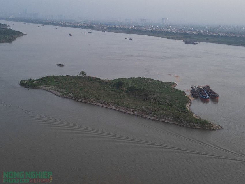 Nguyên nhân và hệ lụy đất bãi bồi sông Hồng trên địa bàn xã Mê Linh “biến mất” từng ngày