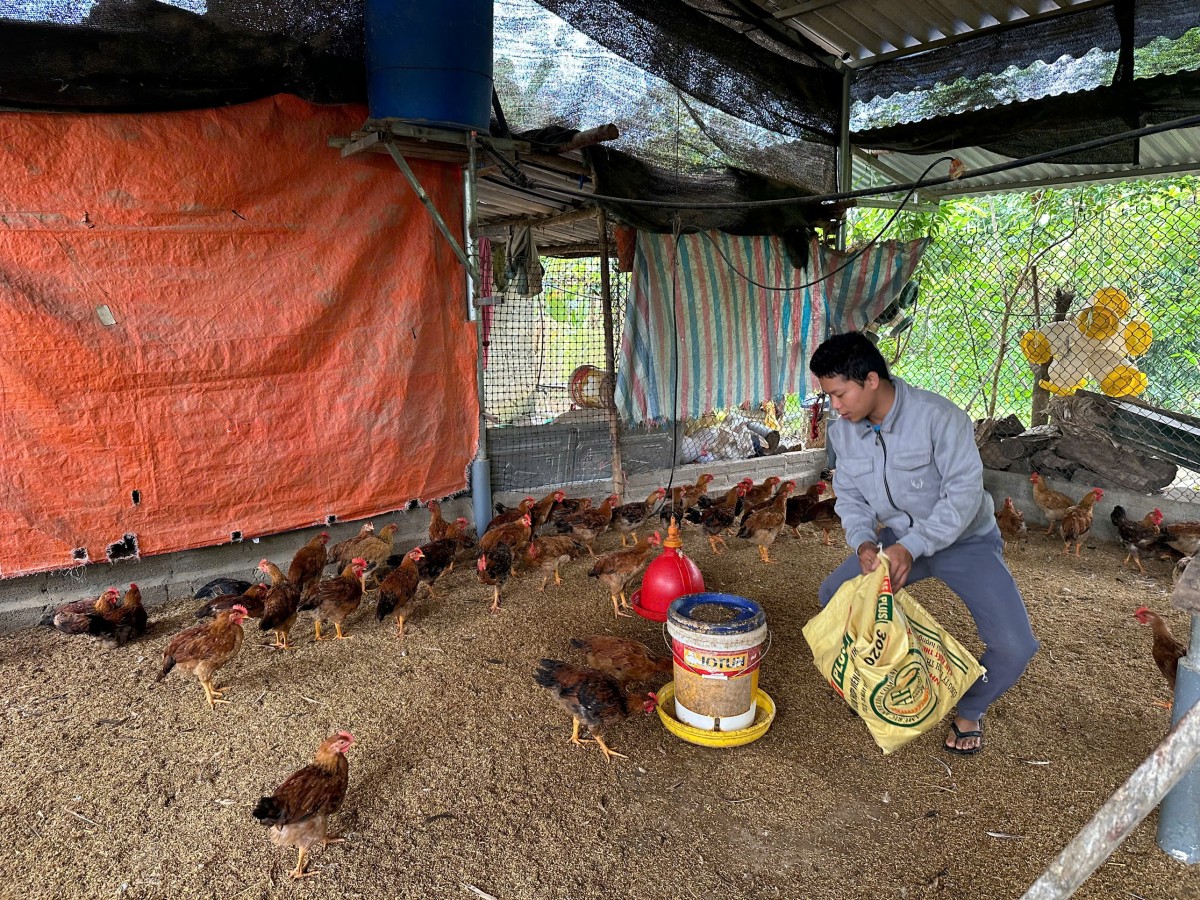 Thái Nguyên triển khai hiệu quả mô hình đào tạo nghề cho lao động vùng DTTS và miền núi