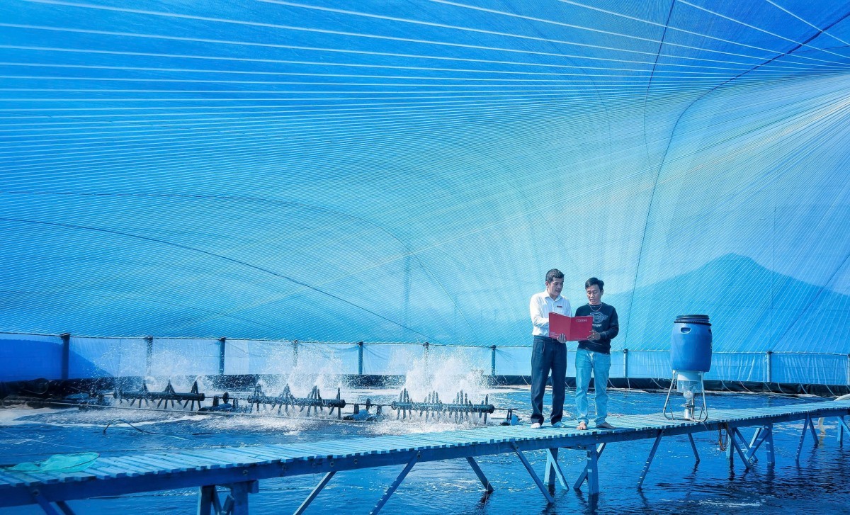 Gỡ “nút thắt” tín dụng xanh: Khơi thông dòng vốn cho chuỗi giá trị nông nghiệp bền vững