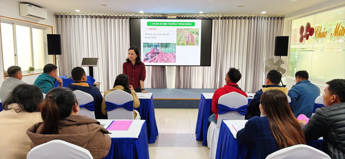 Quảng Trị: Tập huấn nhân rộng mô hình trồng rừng thâm canh keo cho hộ nghèo và cận nghèo