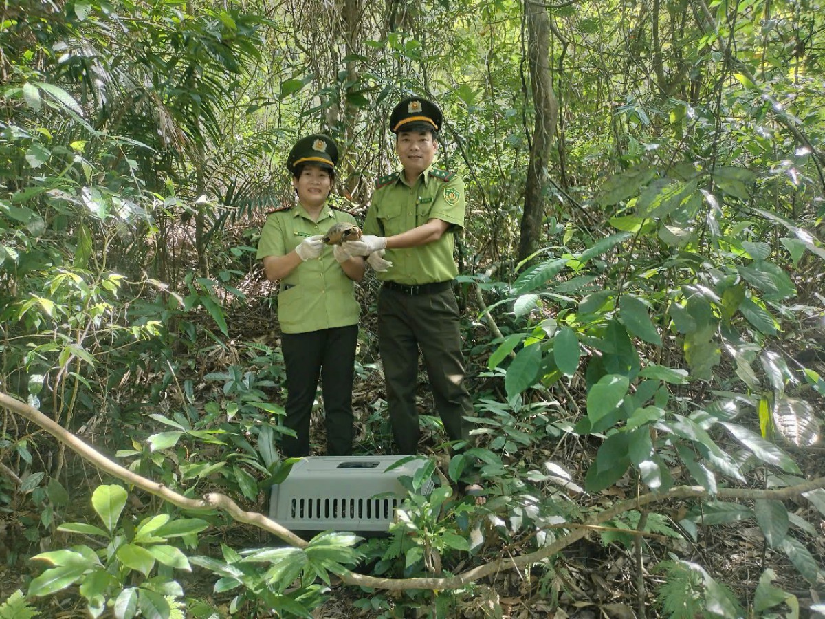 VQG Bạch Mã tích cực bảo tồn, phát triển nông nghiệp, môi trường bền vững