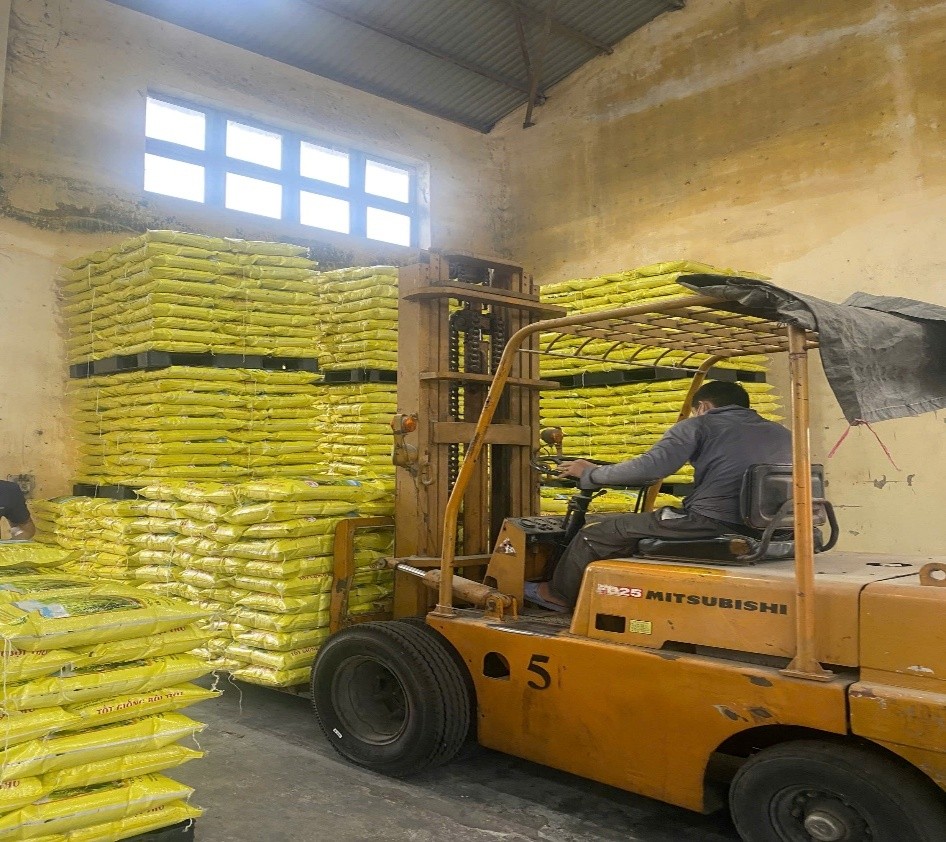 Quảng Trị chủ động cung ứng giống lúa vụ Đông xuân 2025-2026