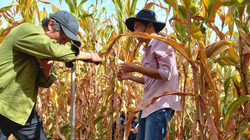 Nghiên cứu xác định bể chứa các-bon hữu cơ trong đất: Cơ hội cho mục tiêu Net Zero