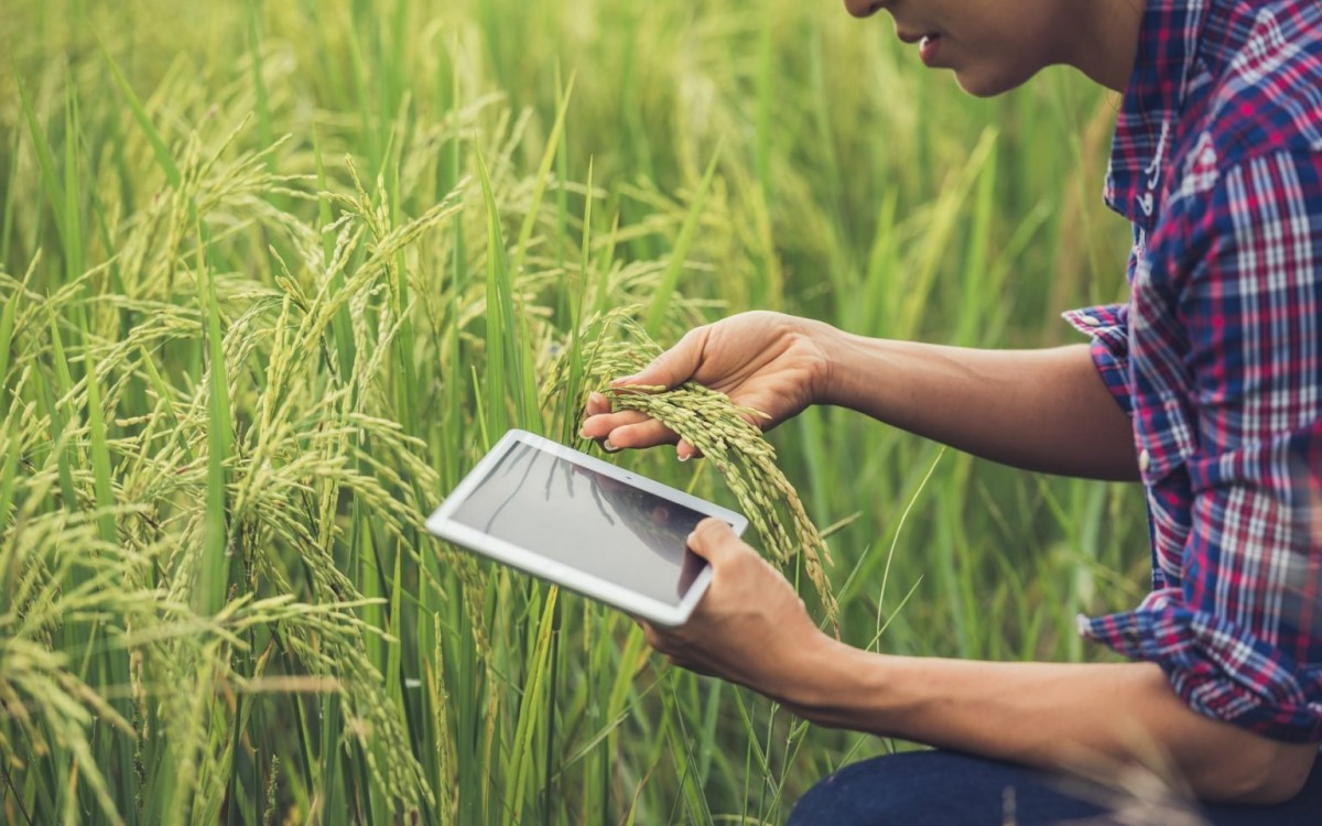 Tạo đột phá cho kinh tế tập thể, hợp tác xã với mô hình xanh, số, tuần hoàn